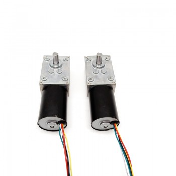 2 Pièces 12V/24V Motoréducteur CC brushed 7W/10.9W arbre 6mm avec rappor 81~621 réducteur à vis sans fin