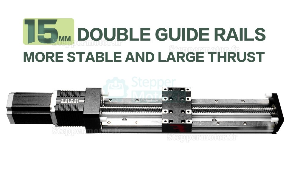 Module de guidage linéaire à vis à billes à double rail FSK80 100-1000mm avec moteur pas à pas Nema 24