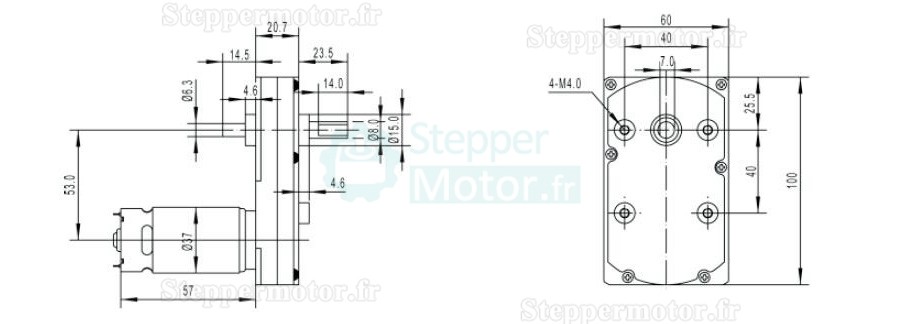 2 Pièces 12V/24V motoréducteur CC brushed GM100F-555PM moteur PMDC avec rapport 60~365 réducteurs arbre parallèle