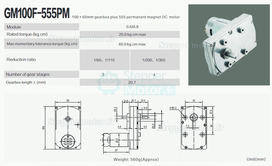 2 Pièces 12V/24V motoréducteur CC brushed GM100F-555PM moteur PMDC avec rapport 60~365 réducteurs arbre parallèle