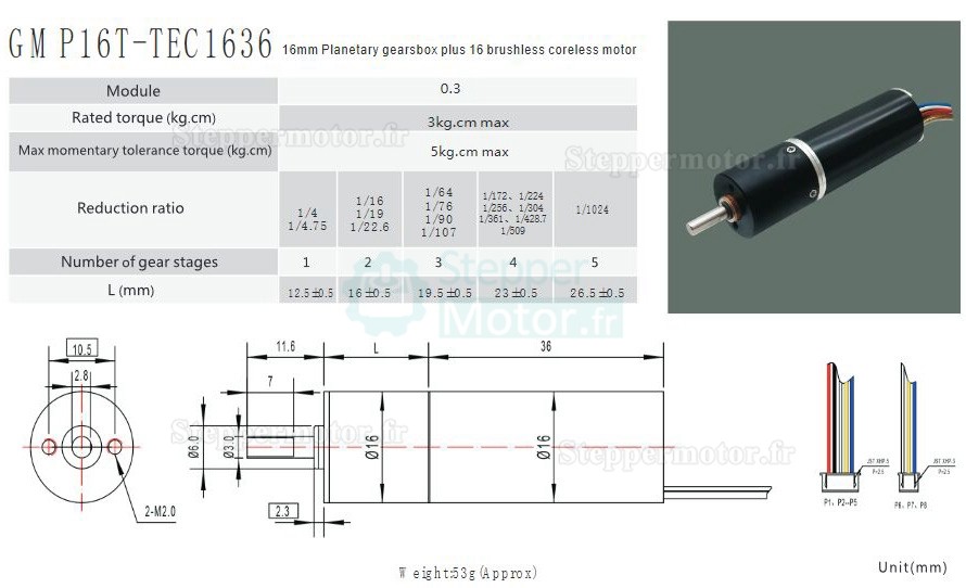 2 Pièces Φ16mm 12V/24V Motoréducteur coreless brushless GMP16T-TEC1636 avec réducteur planétaire arbre 3mm