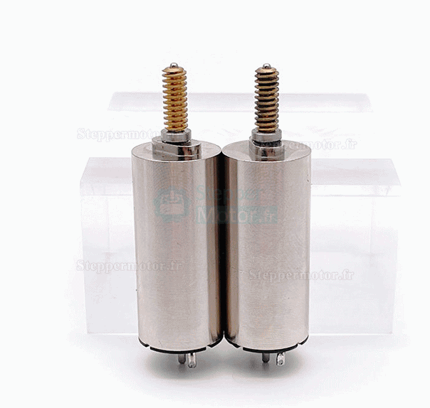 2 Pièces Φ16mm 24V Moteur cc coreless avec balais TDC1636 1,96mN.m 2W arbre 1,5mm